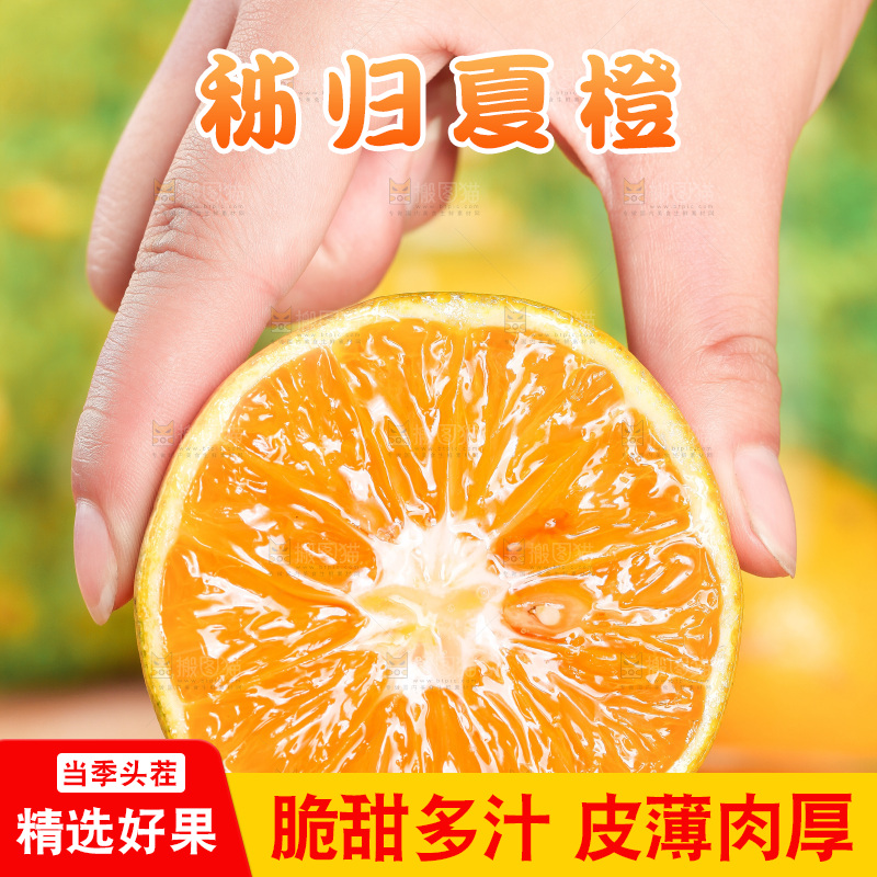 手拿切开的秭归夏橙
