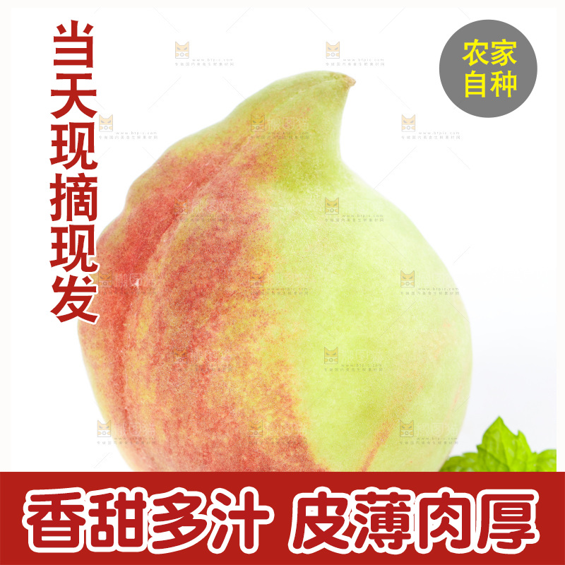 白底上的鹰嘴水蜜桃