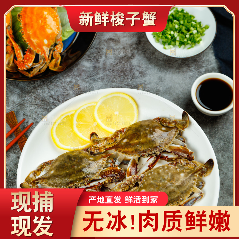 石板上放着一盘梭子蟹