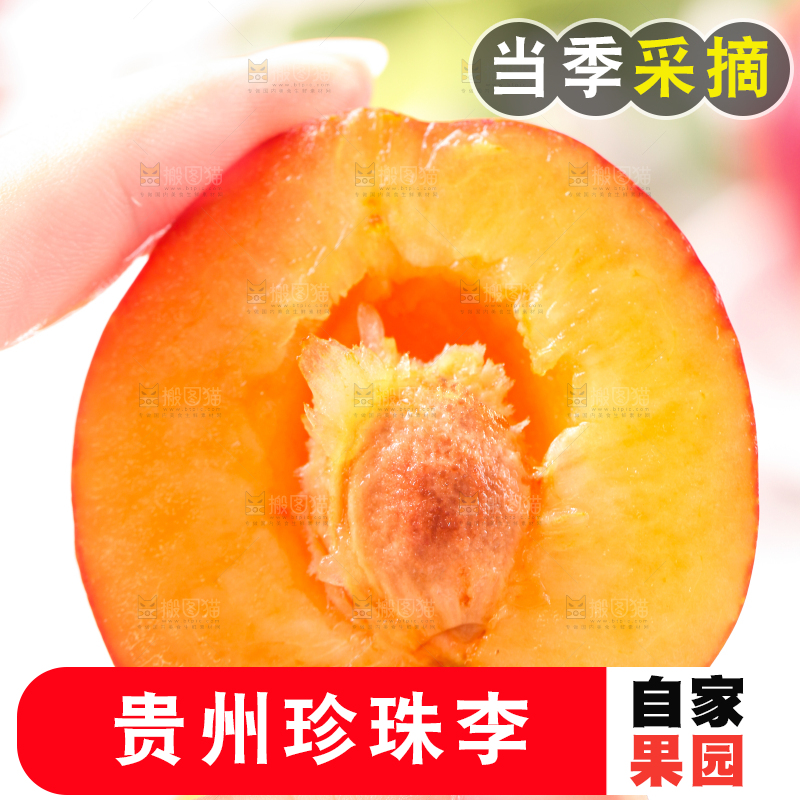 手拿掰开的珍珠李