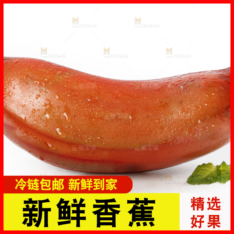 白底上的红皮美人蕉