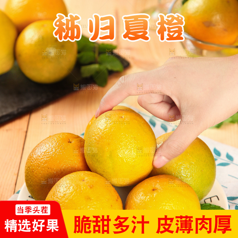 手拿着的秭归夏橙