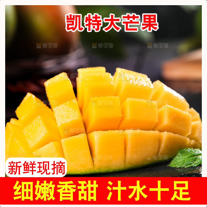 凯特芒主图
