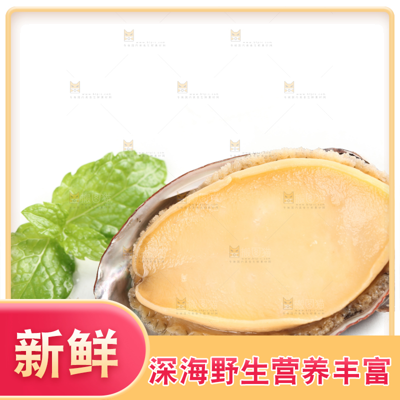 白底上的新鲜鲍鱼