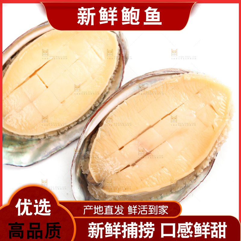 白底上放着新鲜剥开的鲜鲍鱼