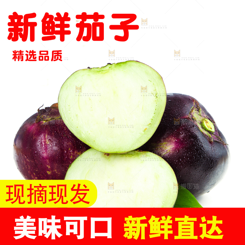 切开的紫皮圆茄子放在白底上