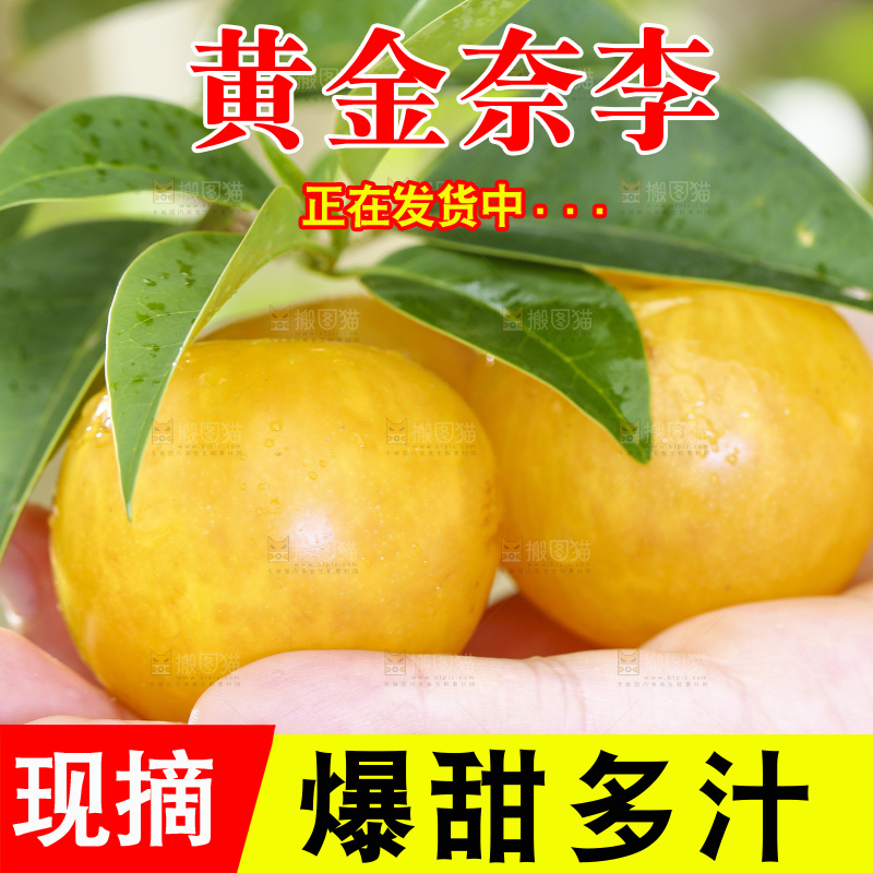 手拿黄金奈李