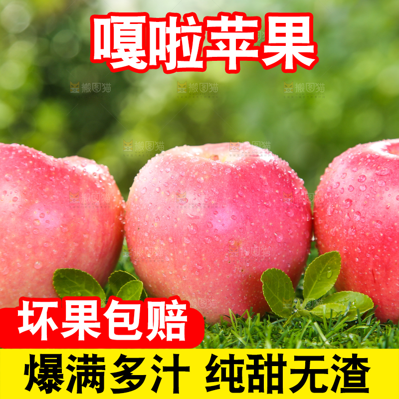 草地上的红嘎啦苹果
