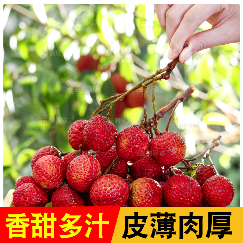 手端一盘荔枝
