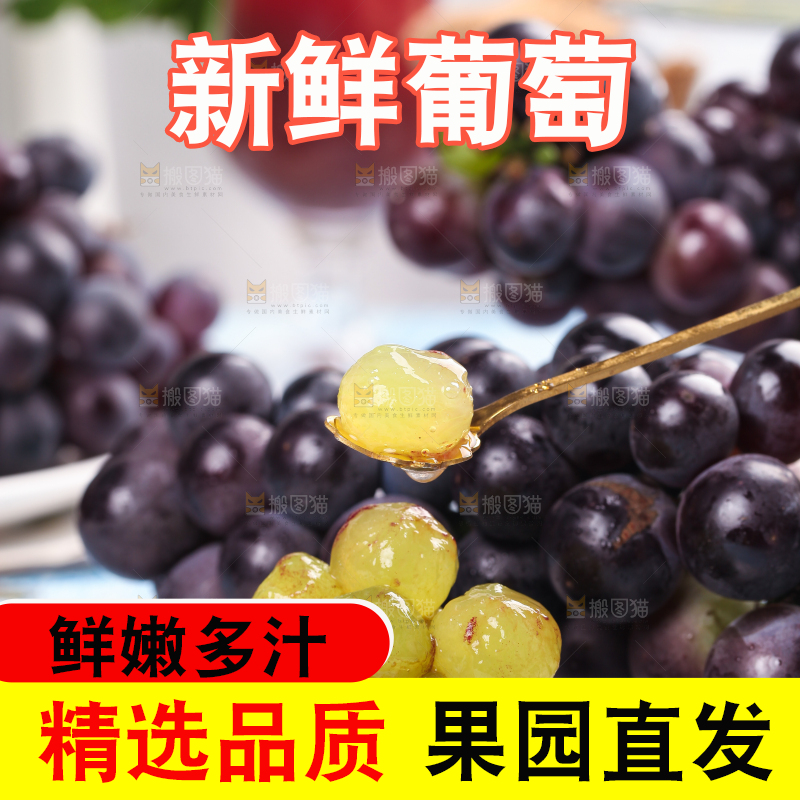 勺子里的巨峰葡萄果肉