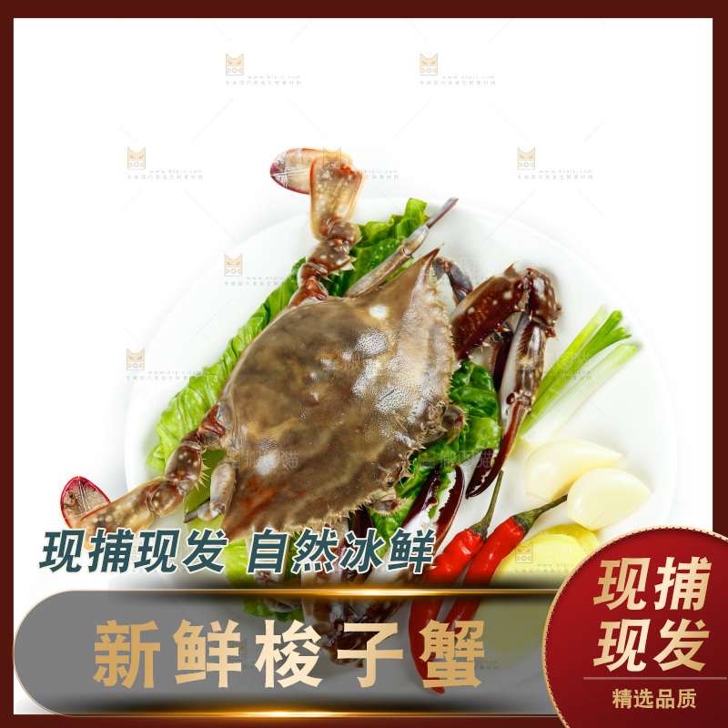 白底上放着一盘梭子蟹