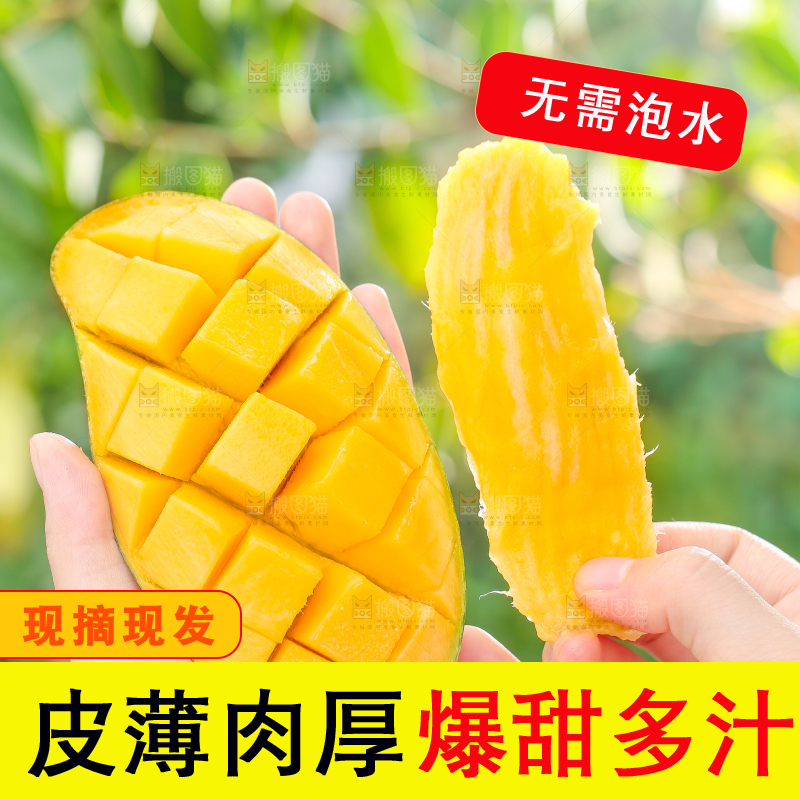 手拿桂七芒果核