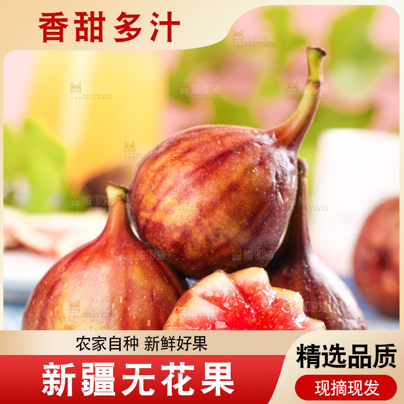 黑石板的紫皮无花果