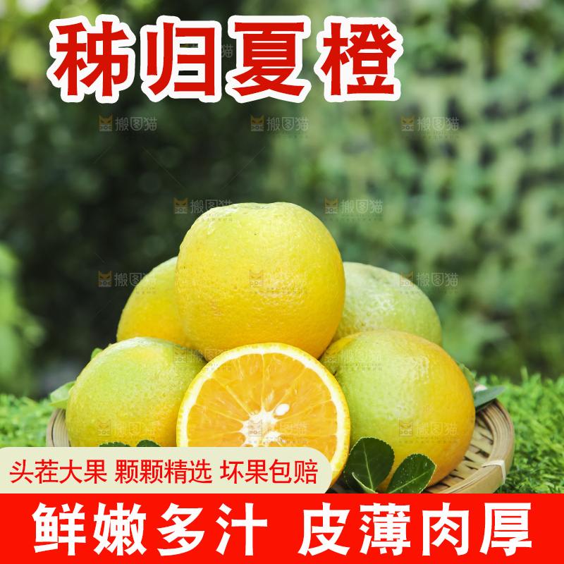 草地上放着一篮夏橙