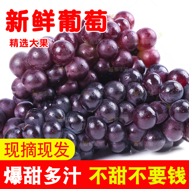 白底上的新鲜巨峰葡萄