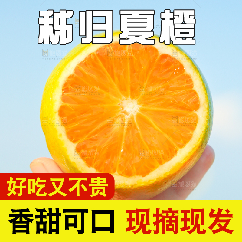 手拿切开的夏橙
