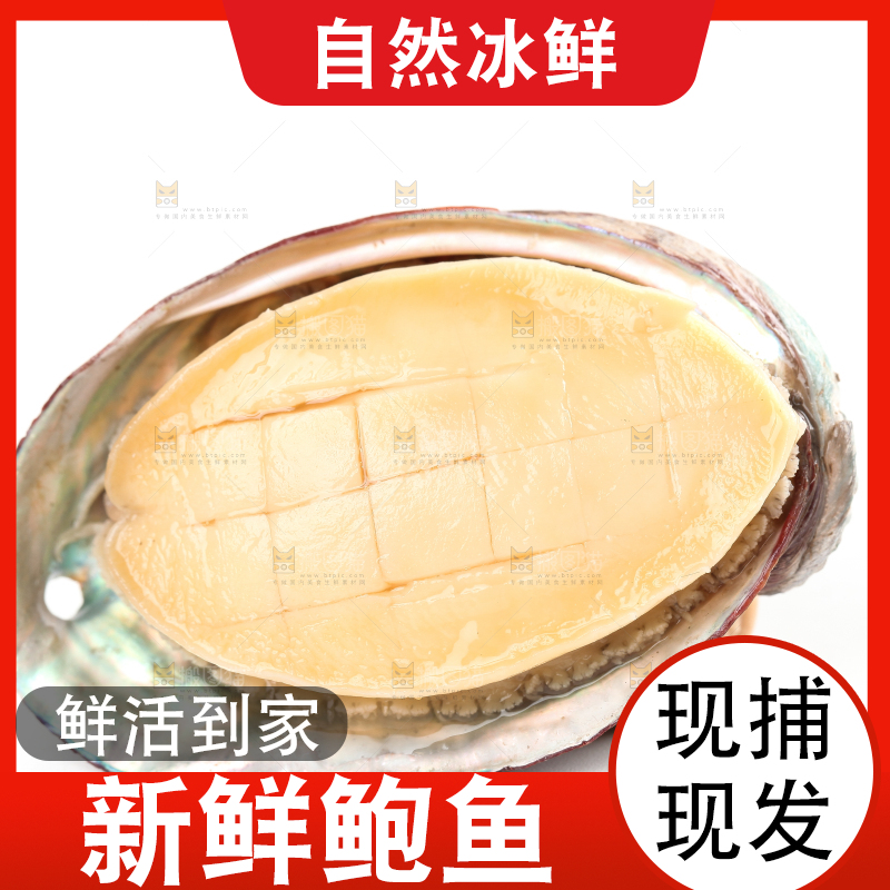 白底上放着新鲜剥开的鲜鲍鱼