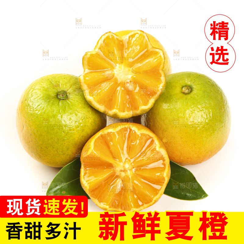 切开的夏橙放在白底上