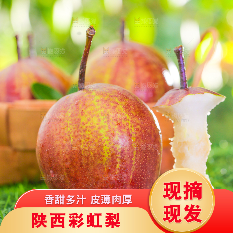 草地上放着彩虹梨果核
