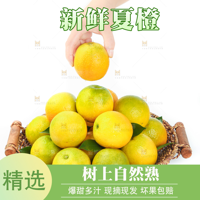 手拿秭归夏橙
