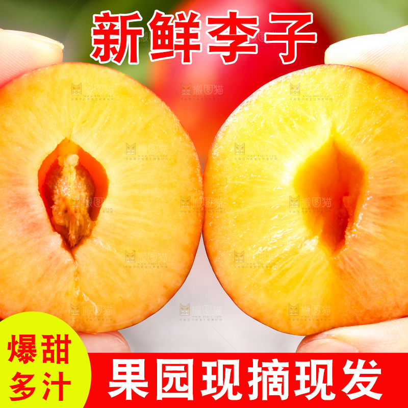 手拿切开的红宝石李子