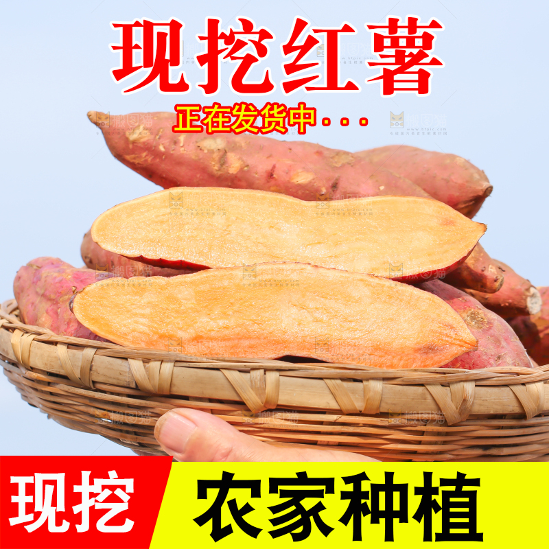 农民手里端着一盘红心红薯