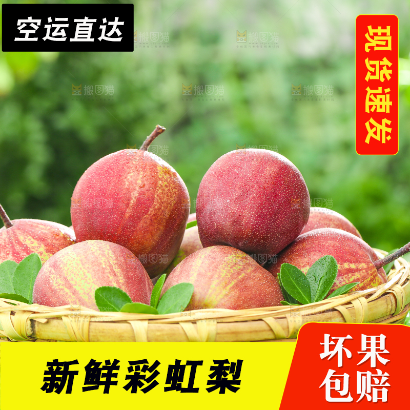草地上放着一篮彩虹梨