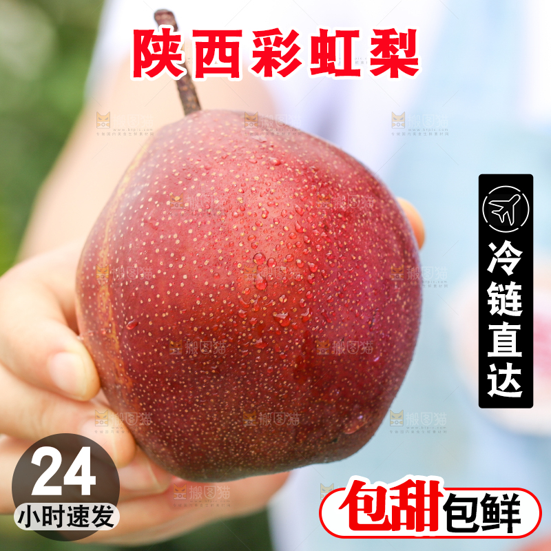 手拿早酥红梨子