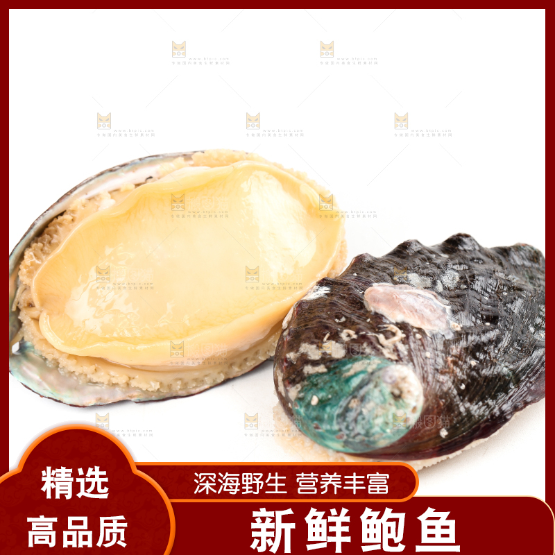 白底上放着新鲜剥开的活动大鲍鱼