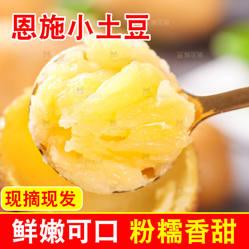 勺子里的黄心熟土豆泥