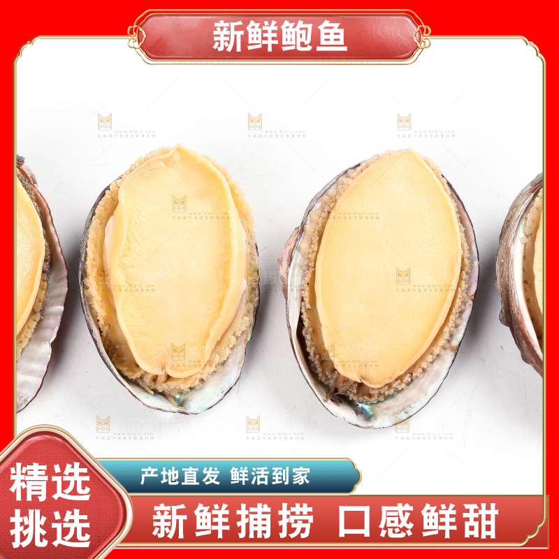 白底上的新鲜鲍鱼