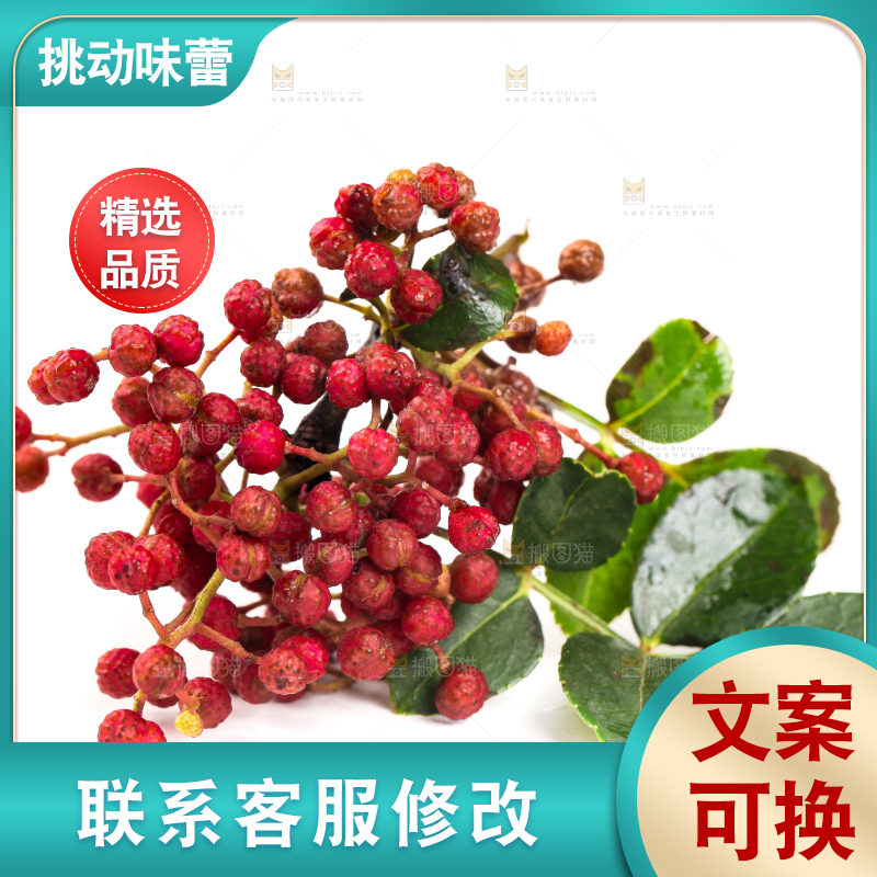白底上的新鲜花椒