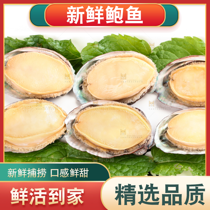 白底上放着新鲜剥开的活动大鲍鱼
