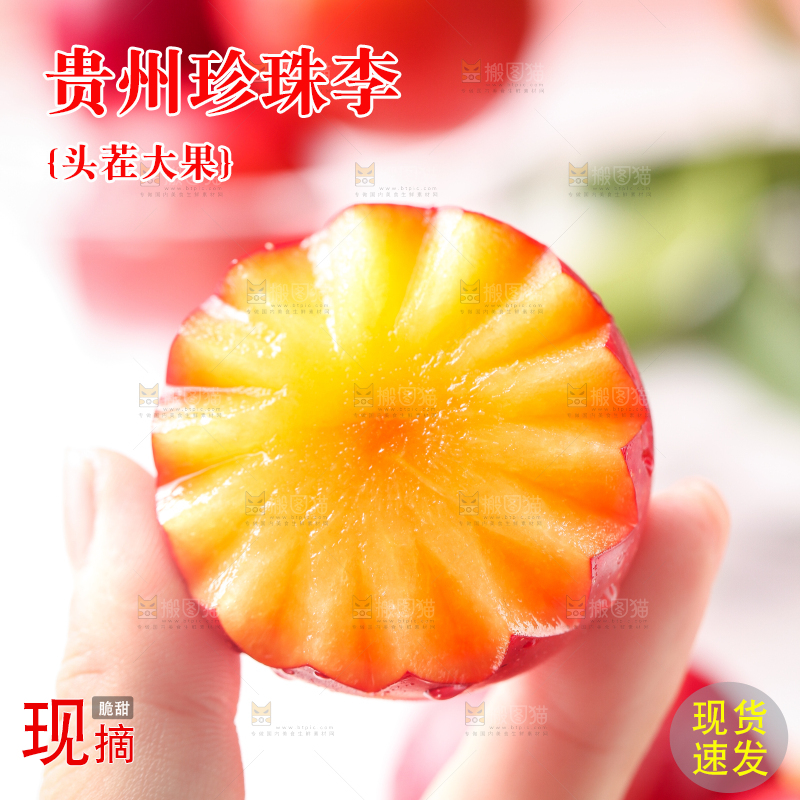 手拿切开的珍珠李
