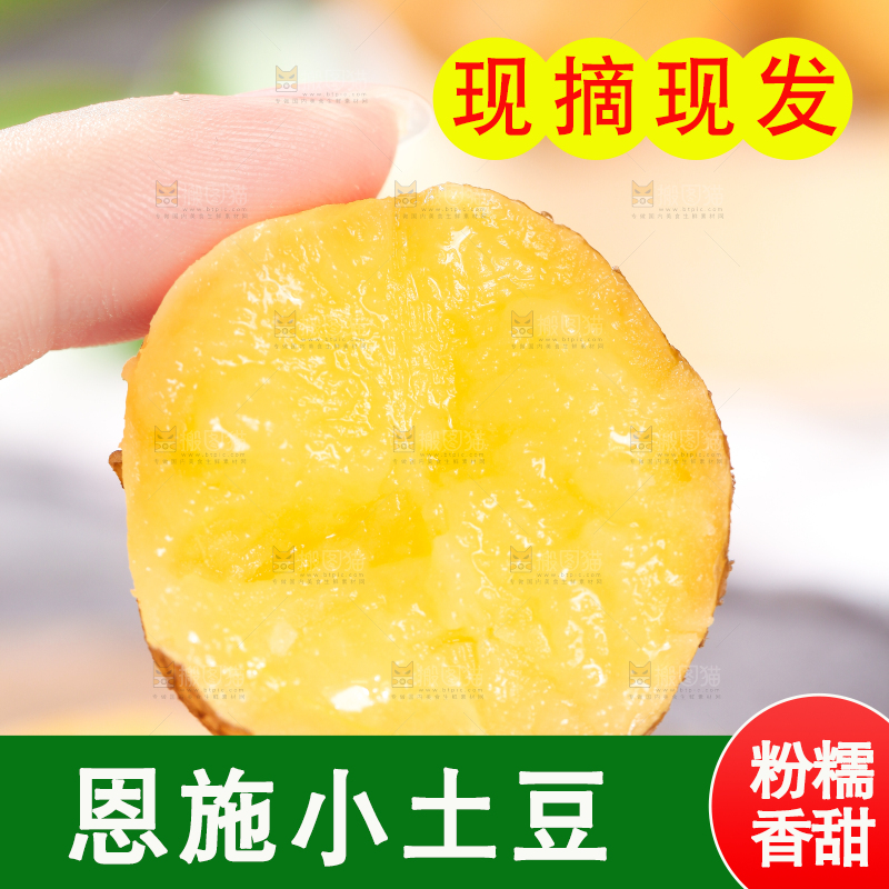 手拿黄心熟土豆