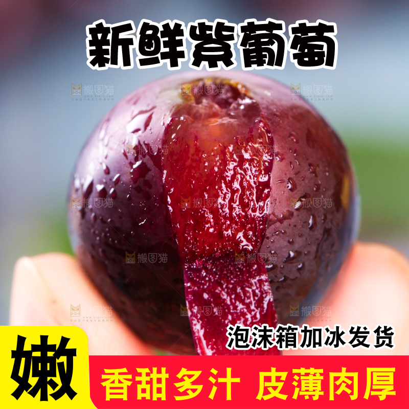 手拿剥皮的东北巨峰葡萄