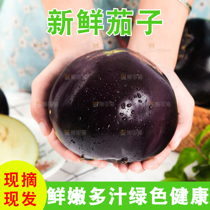 手拿紫圆茄子