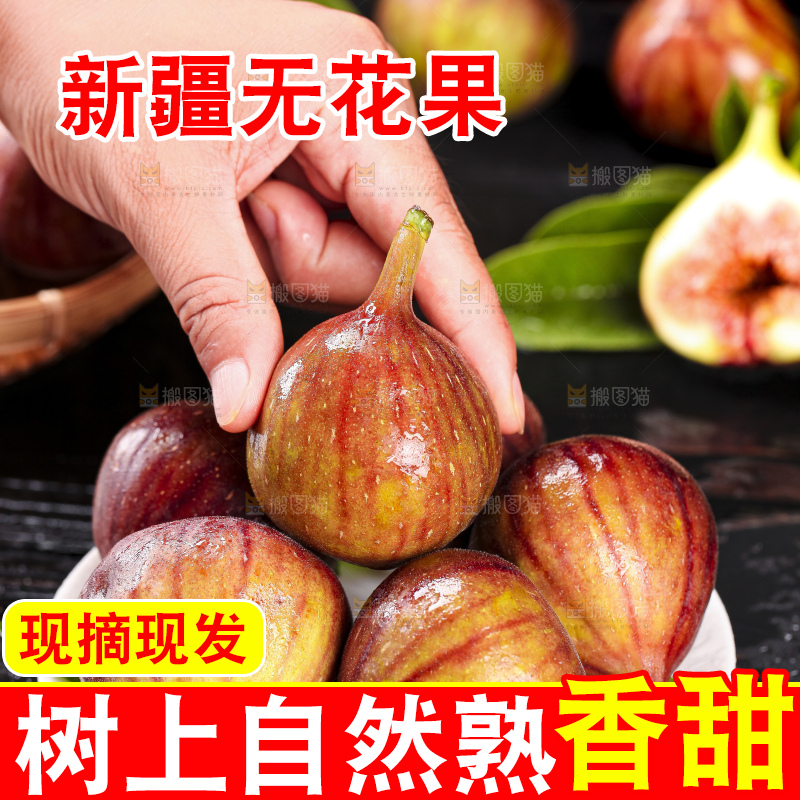 手拿无花果