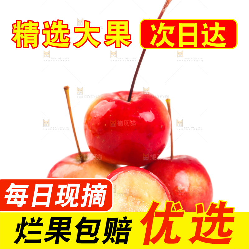 白底上的海棠果
