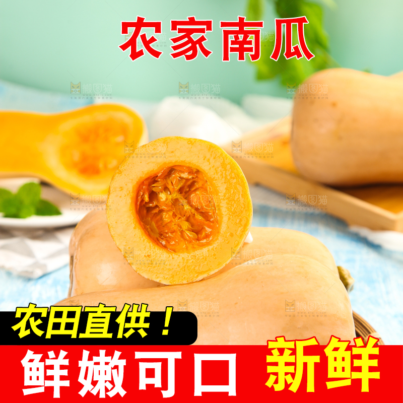 蓝底上放着一盘奶油南瓜