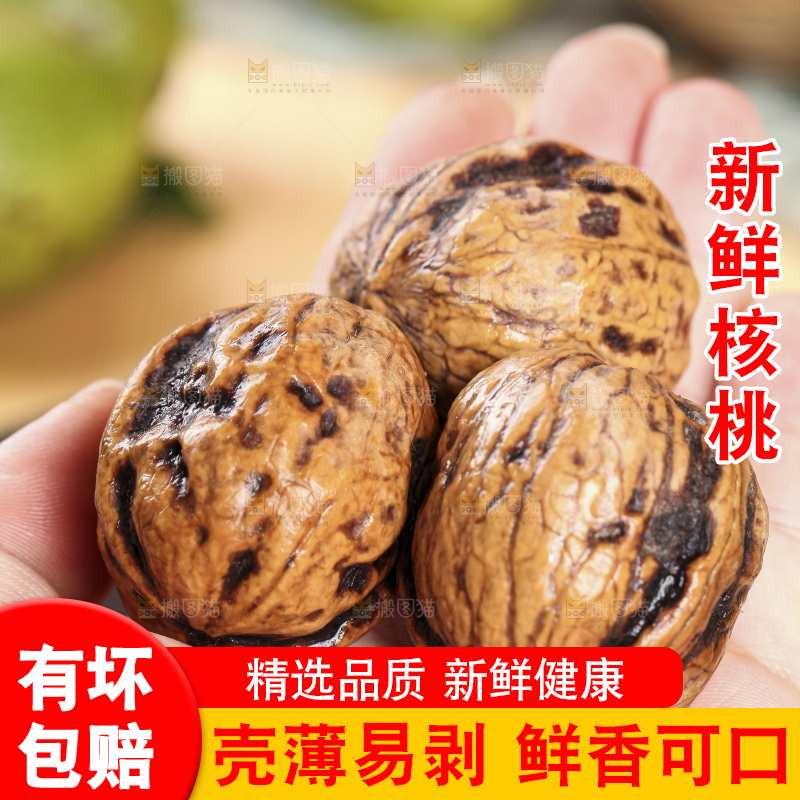 手拿新鲜去皮湿核桃