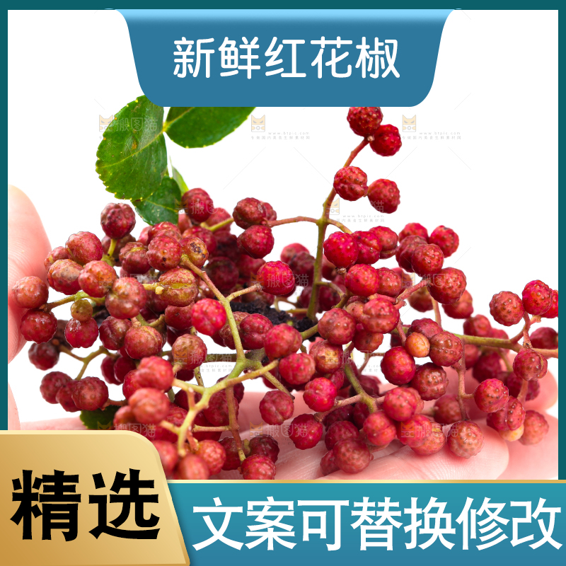 手拿新鲜花椒
