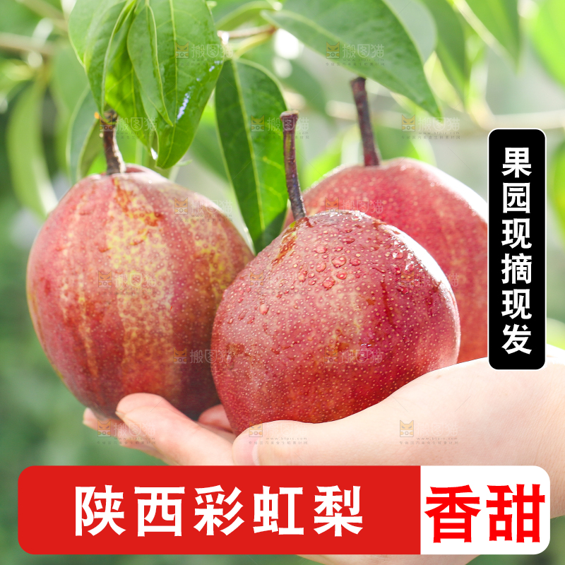 手拿彩虹梨