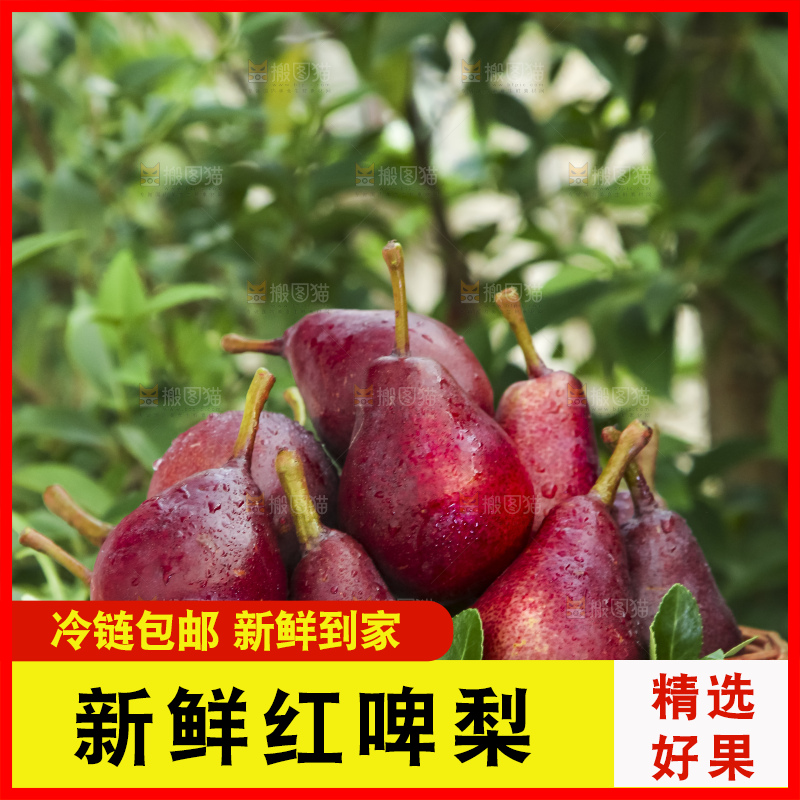 手拿一筐红啤梨