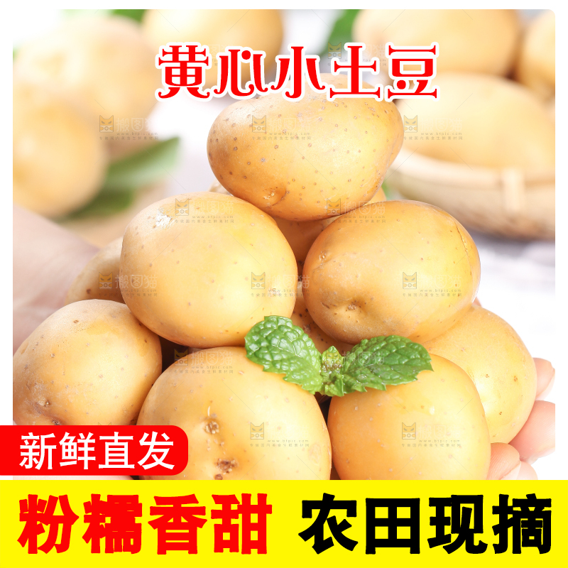 手拿云南小土豆