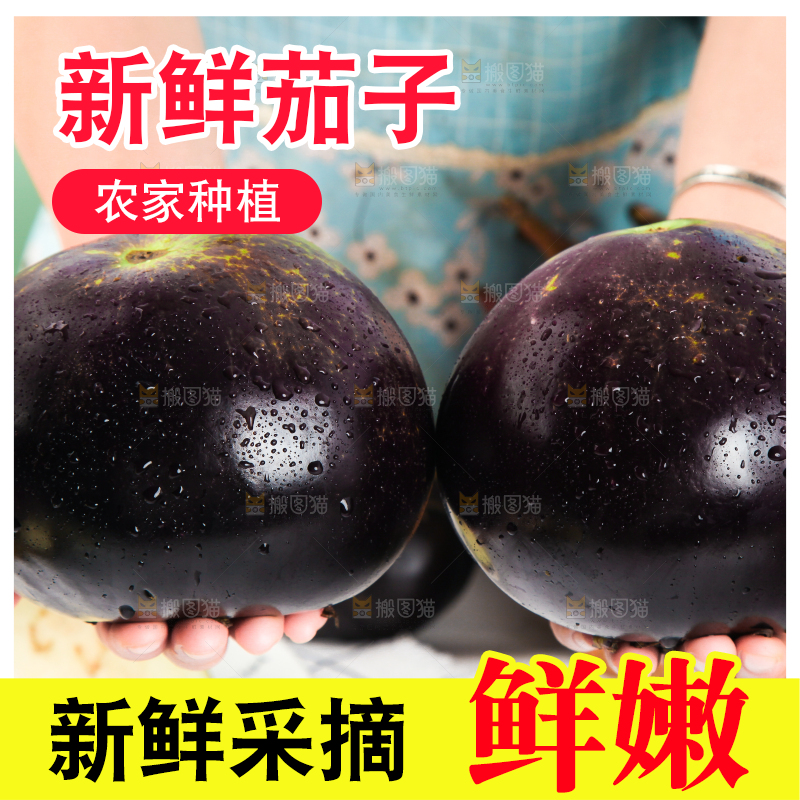手拿紫圆茄子