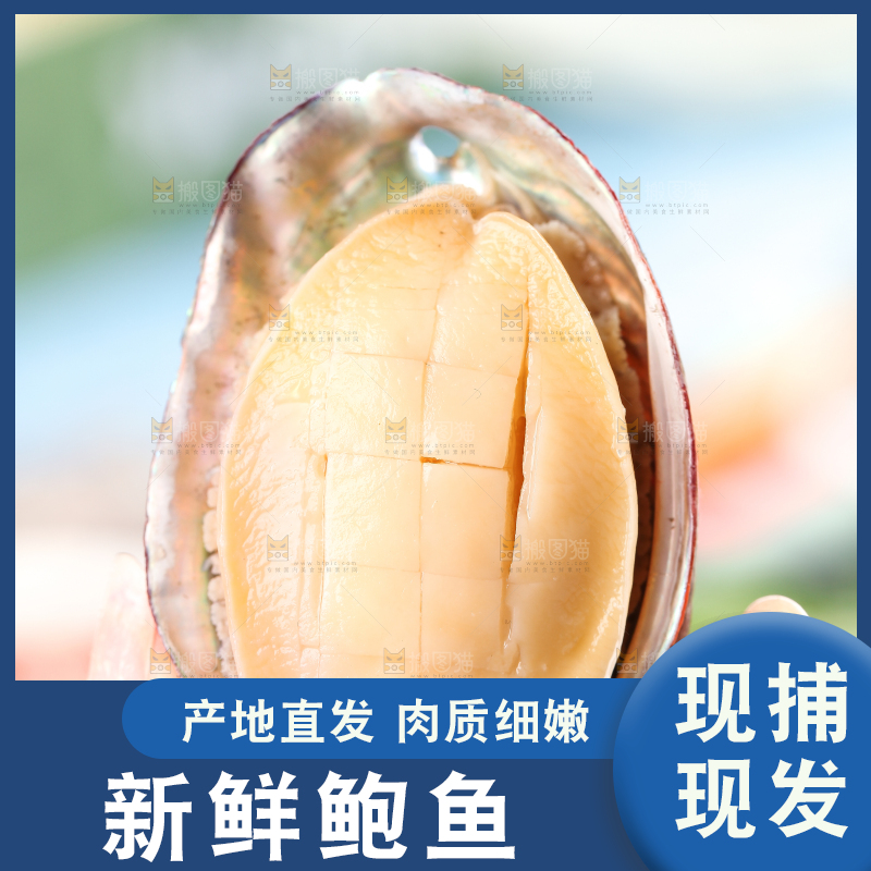手拿鲍鱼