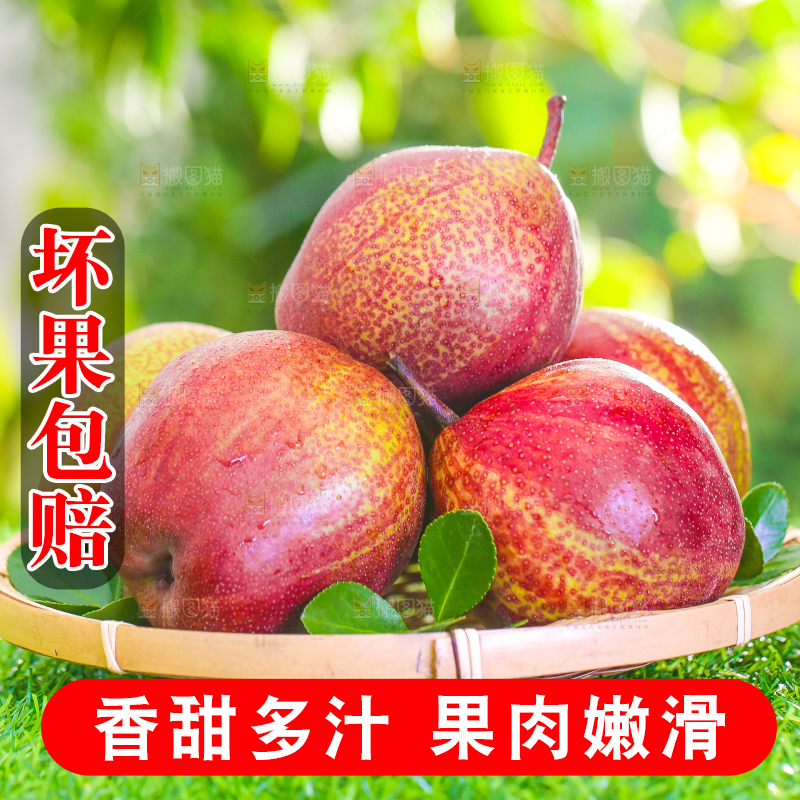 草地上放着一盘彩虹梨