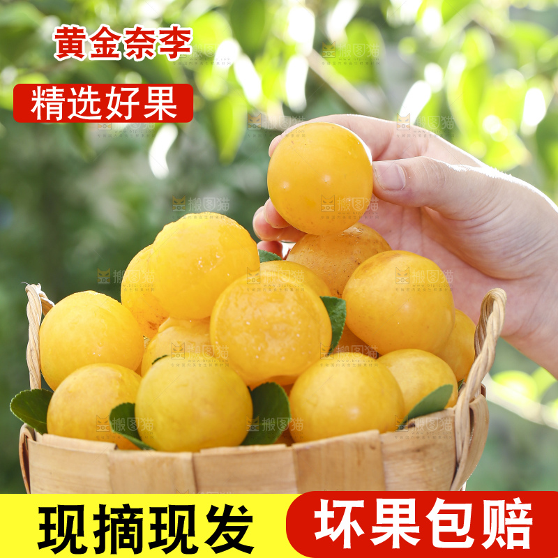 手拿一筐黄金奈李