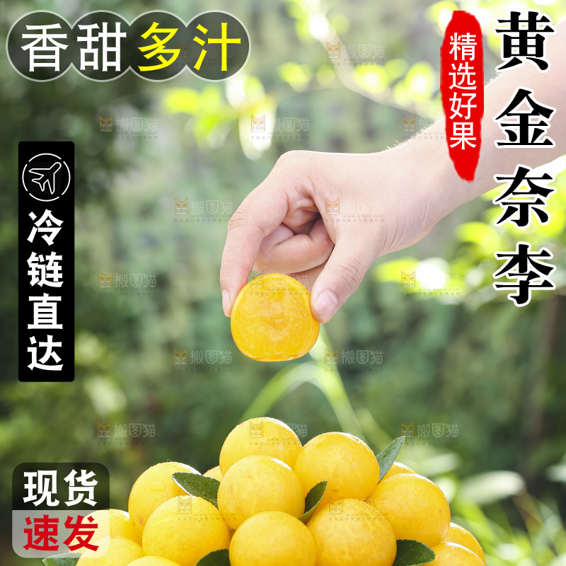 手拿黄金奈李